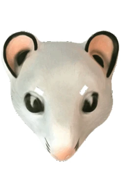 Mouse Facepiece