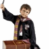 Childrens Deluxe Harry Potter Costume And Trunk 3 Childrens Deluxe Harry Potter Costume And Trunk -Smiffys Sale Store 00003240p