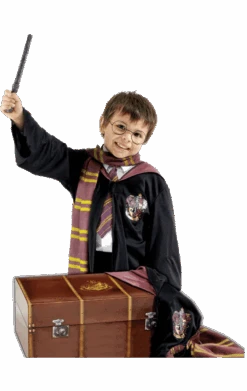 Childrens Deluxe Harry Potter Costume And Trunk
