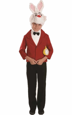 Kids Alice In Wonderland White Rabbit Rabbit Costu