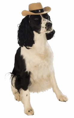 Indiana Bones Dog Accessory