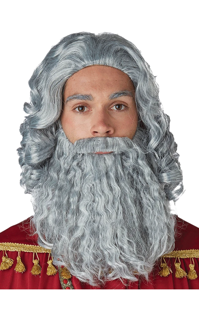 Adult Grey Biblical King Wig And Beard Set 2 Adult Grey Biblical King Wig And Beard Set - Image 2