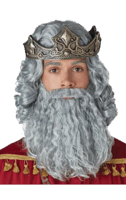 Adult Grey Biblical King Wig And Beard Set