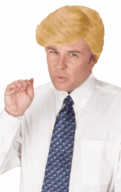 Palmer Comb Over Candidate Wig