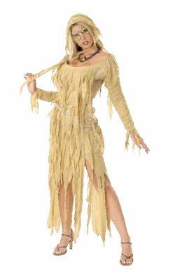 Womens Mummy Queen Costume