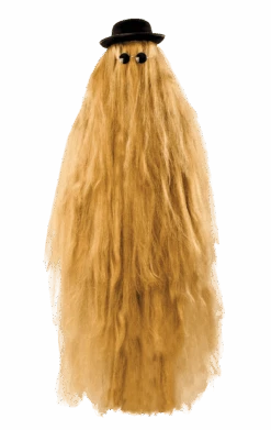 Adult Hairy Relative Costume