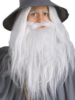 Gandalf Grey Wig & Beard Set