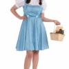 Womens Plus Size Dorothy Costume