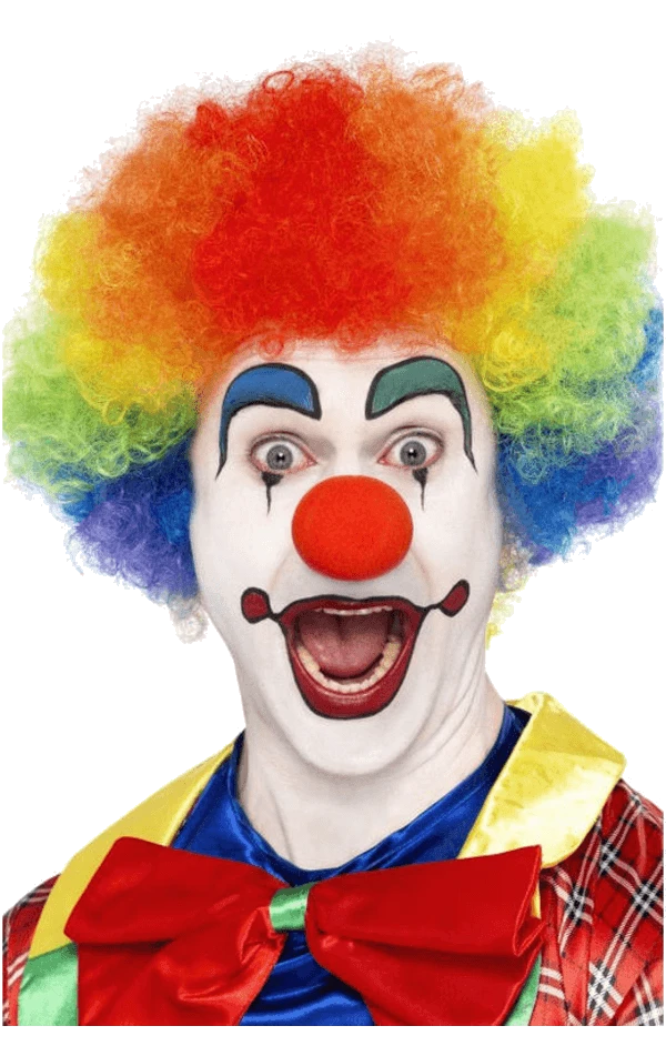 Rainbow Clown Afro Wig 2 Rainbow Clown Afro Wig - Image 2