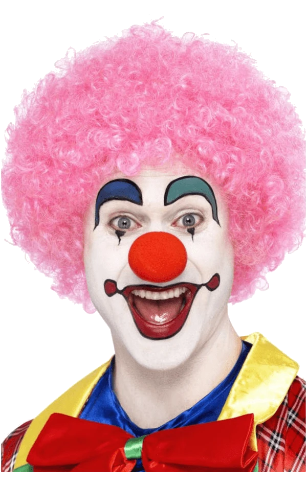 Pink Clown Afro Wig 2 Pink Clown Afro Wig - Image 2