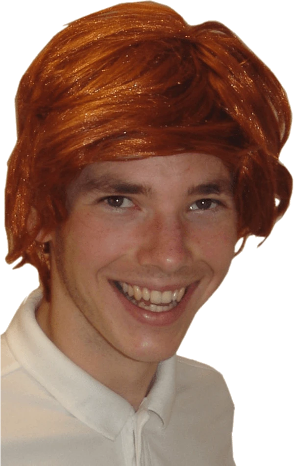 Ron Weasley Costume Wig 1 Ron Weasley Costume Wig