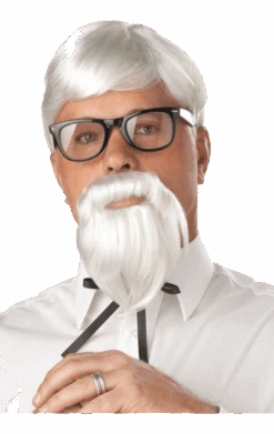 The Colonel Wig & Moustache