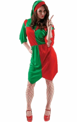 Ladies Elf Outfit