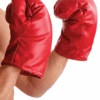 Red Boxing Gloves Accessory