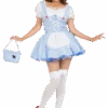 Womens Storybook Dorothy Costume