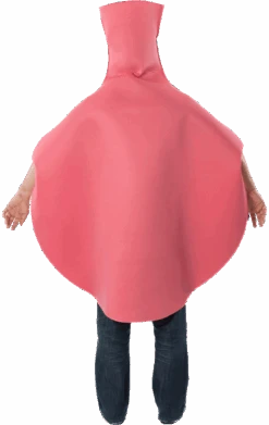 Adult Whoopee Cushion Novelty Cushion -Smiffys Sale Store 00018410a02