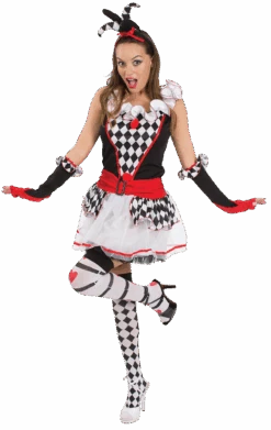 Ladies Harlequin Jester Costume