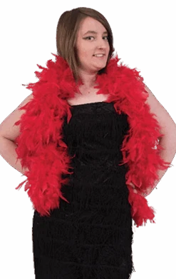 GENERIC Red Feather Boa Accessory