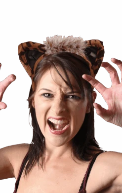 Boland Leopard Ears Accessory