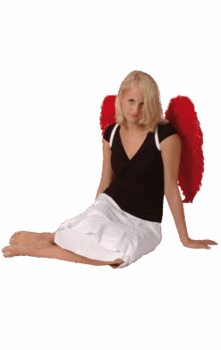 Boland Red Feather Wings 65x65cm