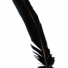 GENERIC Black Turkey Feather