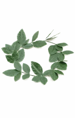 Green Roman Wreath Accessory