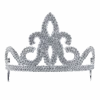Silver Tiara Accessory