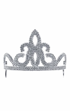 Silver Tiara Accessory