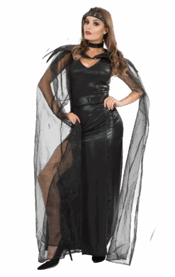 Dreamgirl Womens Evil Queen Halloween Costume