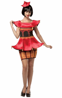 Adults Pagoda Dress Costume