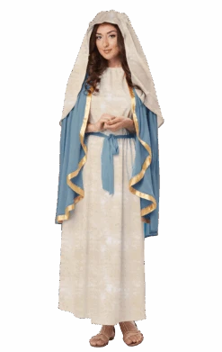 GENERIC Adult The Virgin Mary Costume
