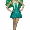 Peacock Light Weight Costume