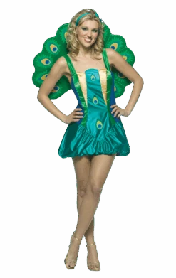 Peacock Light Weight Costume