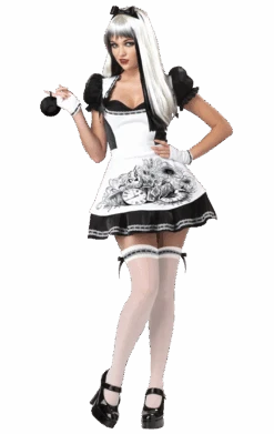 Adult Dark Twisted Alice In Wonderland Costume