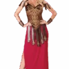 Womens Gladiator Costume
