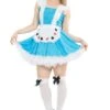 Adult Classic Alice Costume