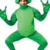 Adult Frog Costume