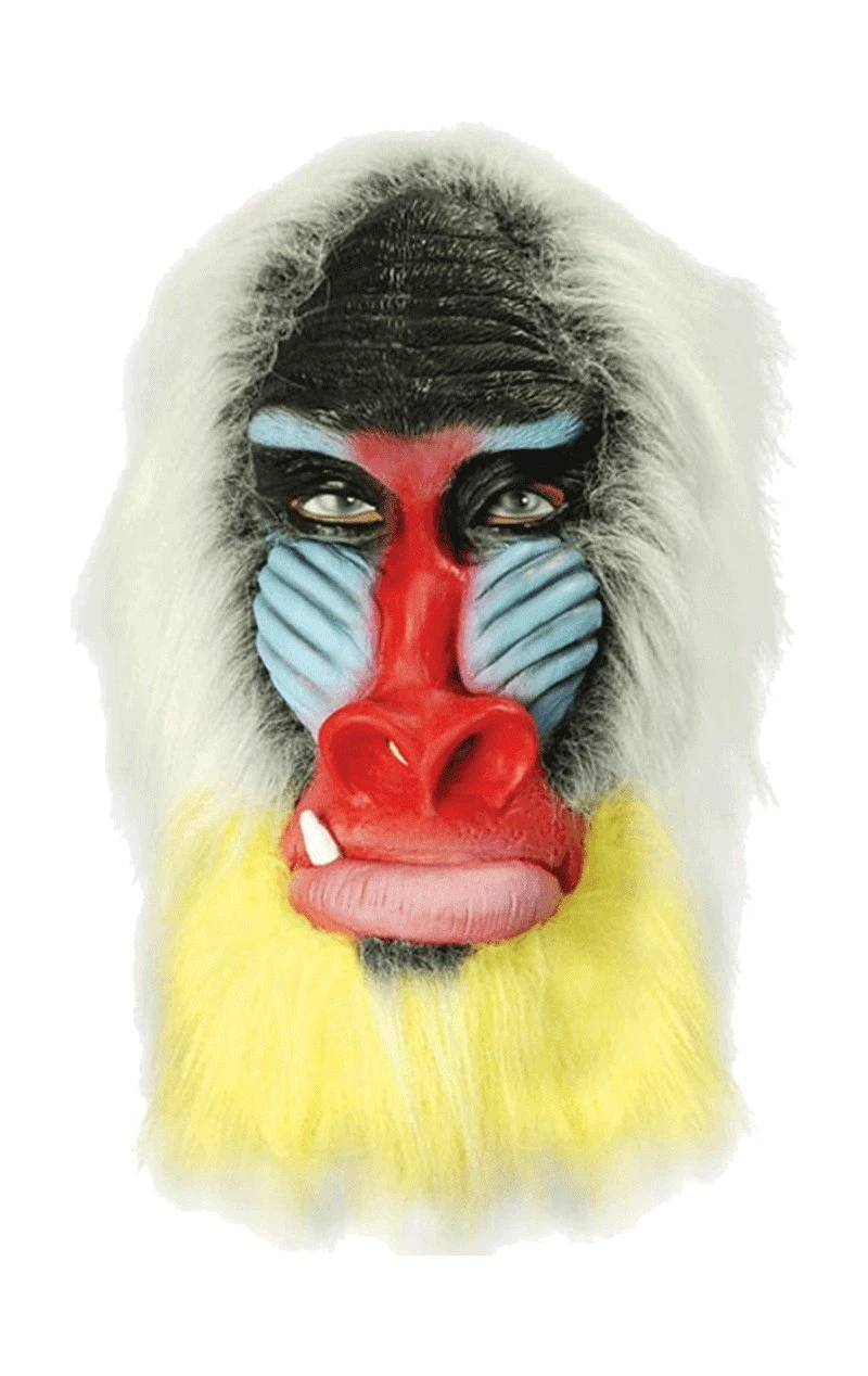 Baboon Monkey Facepiece 1 Baboon Monkey Facepiece