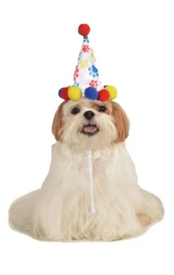 Pawty Animal Dog Hat